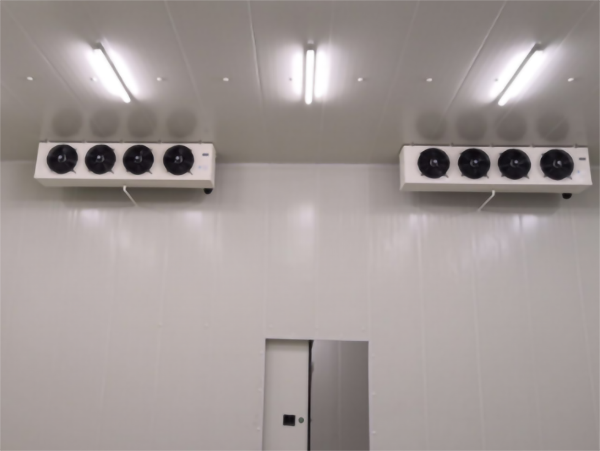 食品公司內建造一個1000平包子、水餃速凍冷庫費用是多少？