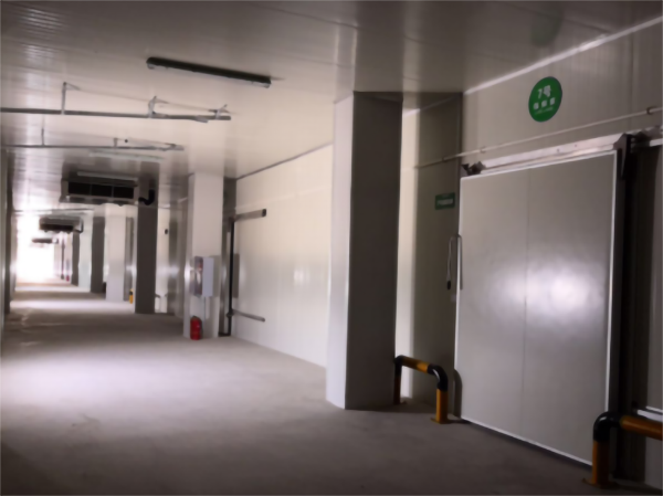 建造200噸的肉類冷鏈冷凍庫如何做好規劃設計？