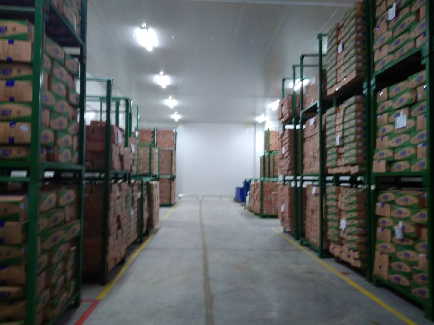 建設8500㎡陰涼物流低溫倉庫安裝配置方案費用是多少？