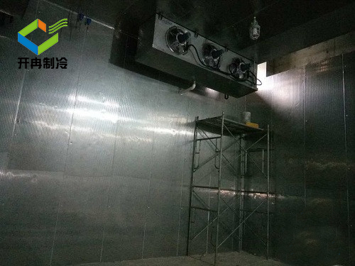 北京冷庫安裝電解液防爆冷庫報(bào)價(jià) 北京冷庫安裝電解液防爆冷庫報(bào)價(jià)